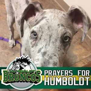 Meet your Posher, Heath